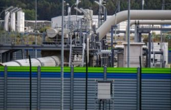 Energy Crisis: Severe pressure drop in both Nord Stream gas pipelines – causes unknown