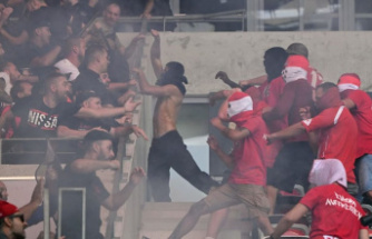 After riots in Nice: 1. FC Köln examines an appeal against the UEFA judgement