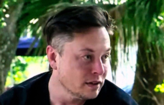 Elon Musk: "Peace plan" causes violent reactions