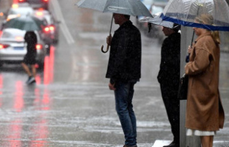 Weather: Rain record in Sydney: Wettest year in history