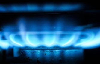 Prices: Energy experts warn of the consequences of an EU gas price cap