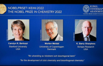 Award 2022: Nobel Prize in Chemistry goes to three molecular researchers from the USA and Denmark