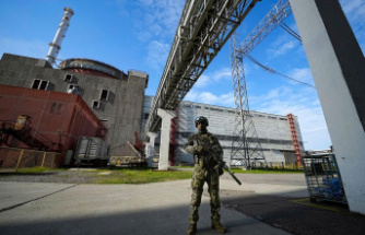Russia's war against Ukraine: Putin orders the nationalization of the occupied Zaporizhia nuclear plant