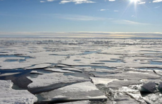 Study: Climate change could make Arctic Ocean more acidic in summer