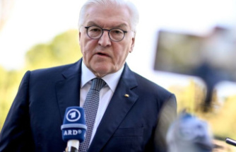 Protests: Steinmeier demands that the Iranian leadership stop the violence