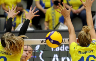 DVV Cup: SSC volleyball players in the semi-finals: victory in Wiesbaden