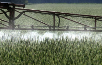 Environment: Foodwatch: Pesticide approvals renewed without risk assessment