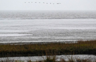 Environment: Wadden Sea neighbors agree on more climate protection