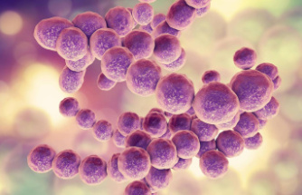 County of Surrey: Child in England dies after bacterial infection