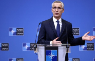 "Welt am Sonntag": NATO chief praises Germany's arms deliveries to Ukraine