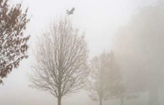 Forecast: fog, rain and clouds: autumn weather for the first Advent