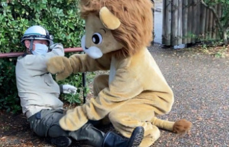 Earthquake exercise in Japan: zoo employees slip into lion costumes and escape – a rehearsal for emergencies