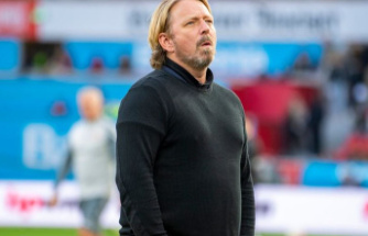 Bundesliga: Mislintat leaves VfB Stuttgart - Labbadia new coach?