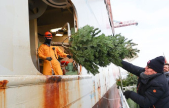 Hamburg: When Christmas trees fly onto ships