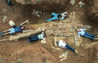 Australia: "Scientific breakthrough": Hobby researchers find 100 million year old dinosaur skeleton