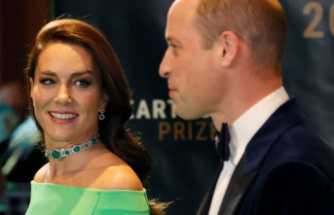 Aristocracy: Princess Kate shows off Diana's emerald necklace