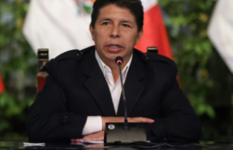 First impeachment, then arrest: the fall of President Castillo: Peru's political drama in four acts