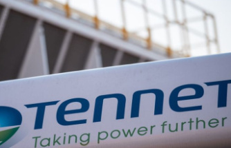 Energy: Habeck wants to consider joining the power grid operator Tennet