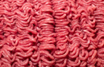 Health: Salad, minced meat and biscuit dough - the Federal Office warns of germs