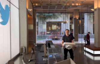 Work Hard, Sleep Hard: Elon Musk converts Twitter offices into bedrooms – and gets in trouble with the authorities