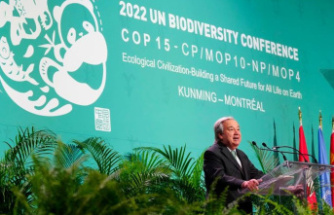 Biodiversity: Guterres before World Nature Summit: "Make peace with nature"