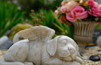 Pets: Rising energy prices are making pet burials more expensive