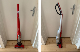 BCH6ZOOO ProAnimal: Bosch cordless vacuum cleaner in the test: How well does the device work in practice?