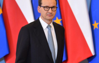 Survey: Half of Poles have a negative view of Warsaw's Germany policy