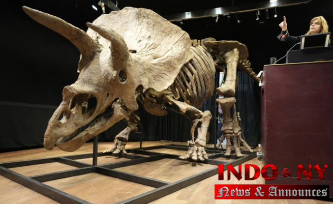 World’s biggest triceratops sells for $7.7 million in Paris